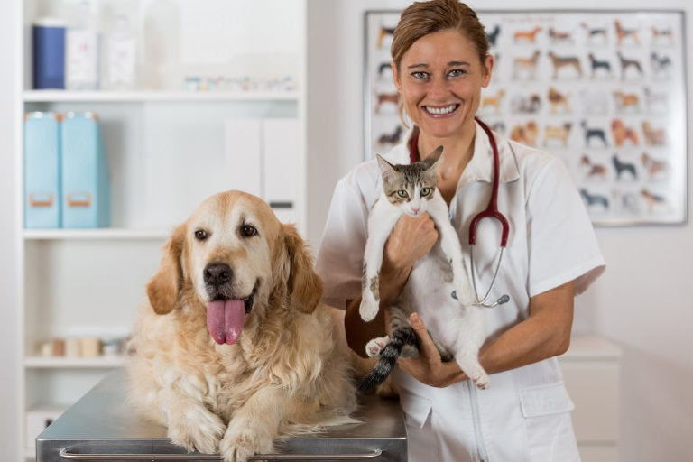 Tierärztin mit Hund auf dem Behandlungstisch und Katze auf dem Arm